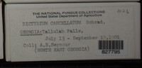 Image Associated With the Occurence